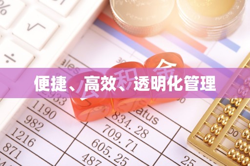 大安便捷、高效、透明化管理