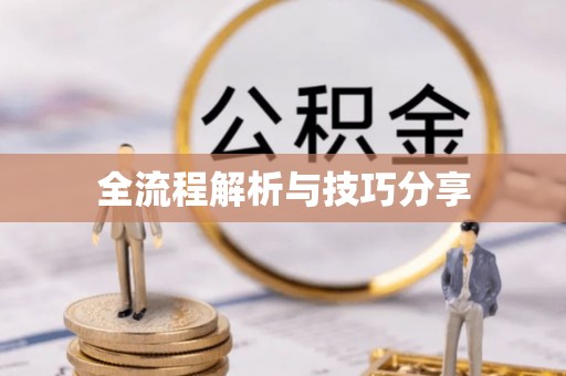 大安全流程解析与技巧分享