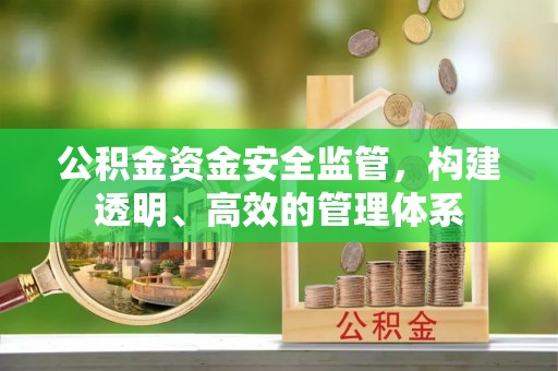 大安公积金资金安全监管，构建透明、高效的管理体系