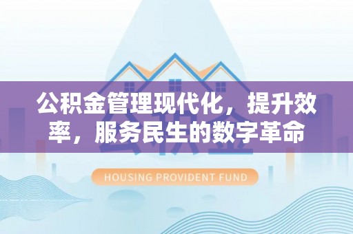 大安公积金管理现代化，提升效率，服务民生的数字革命