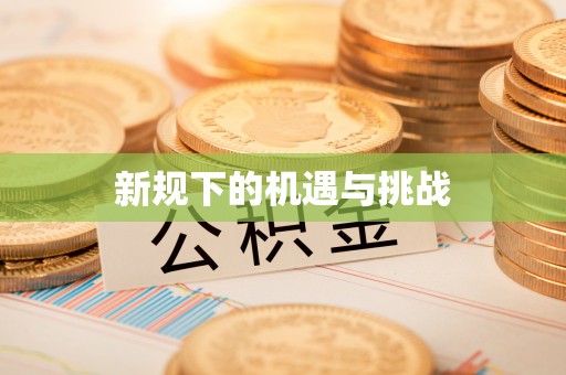 大安新规下的机遇与挑战