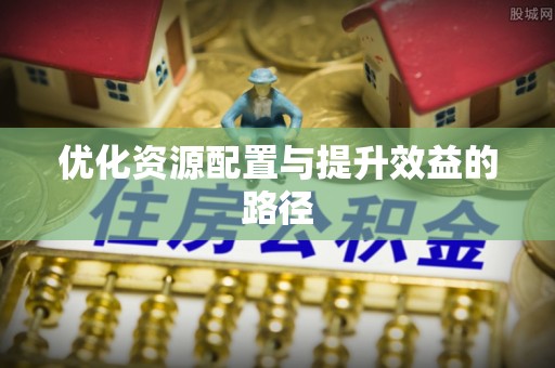 大安优化资源配置与提升效益的路径