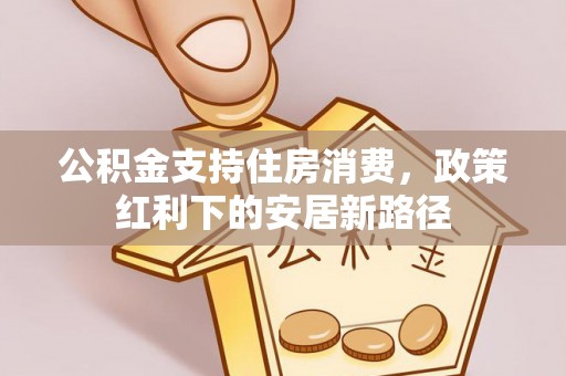 大安公积金支持住房消费，政策红利下的安居新路径