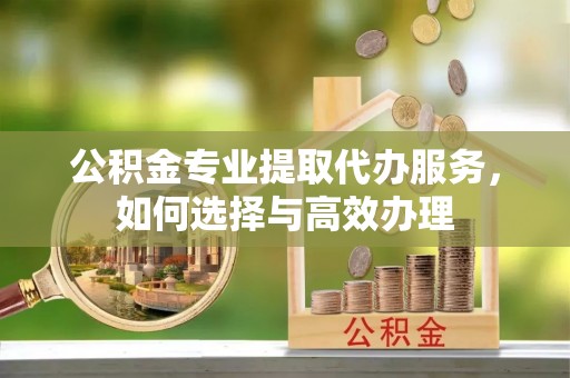 大安公积金专业提取代办服务，如何选择与高效办理