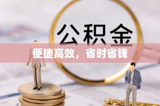 大安便捷高效，省时省钱