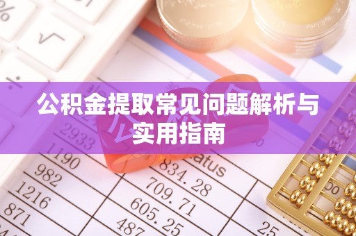 大安公积金提取常见问题解析与实用指南