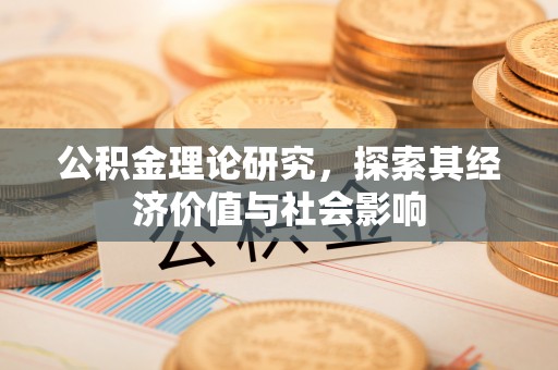 大安公积金理论研究，探索其经济价值与社会影响