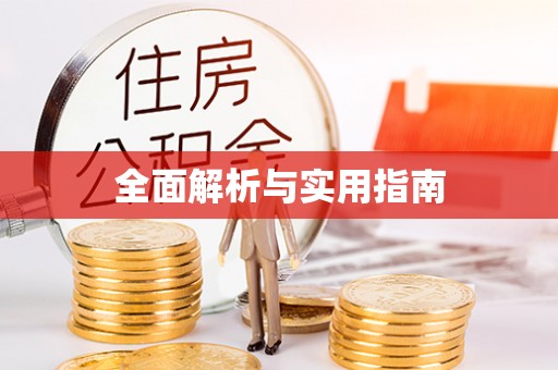 大安全面解析与实用指南