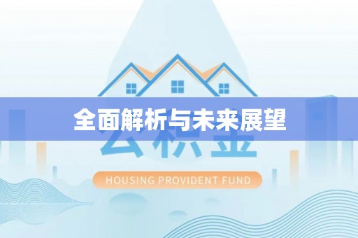 大安全面解析与未来展望