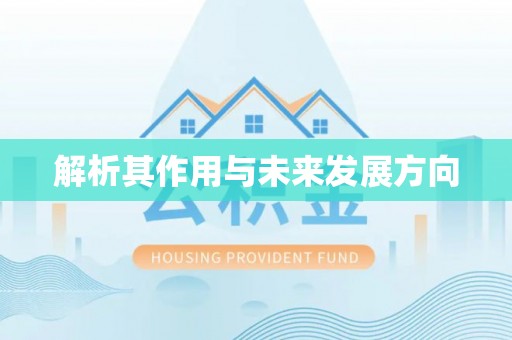 大安解析其作用与未来发展方向