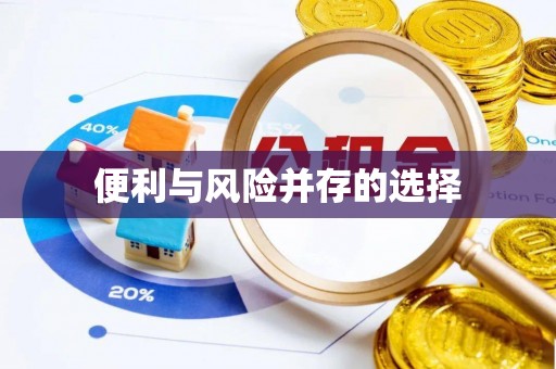 大安便利与风险并存的选择
