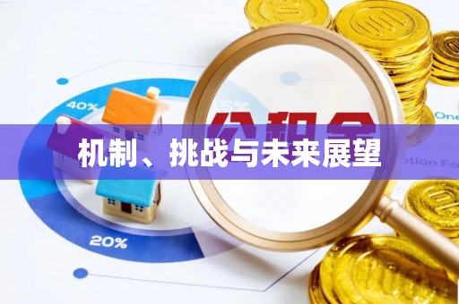 大安机制、挑战与未来展望