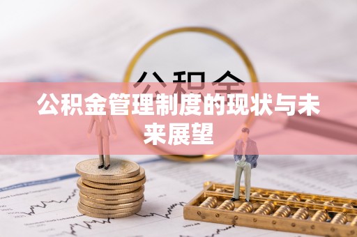 大安公积金管理制度的现状与未来展望