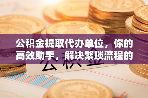 大安公积金提取代办单位，你的高效助手，解决繁琐流程的不二之选