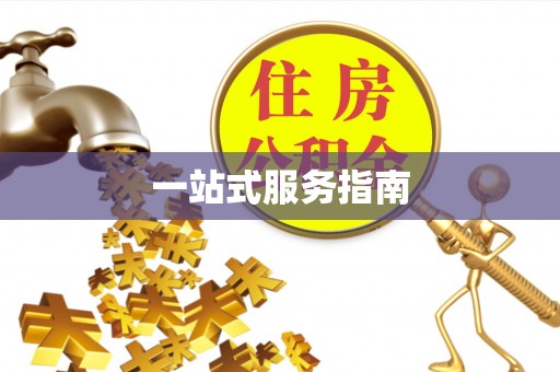 大安一站式服务指南