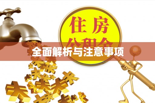 大安全面解析与注意事项