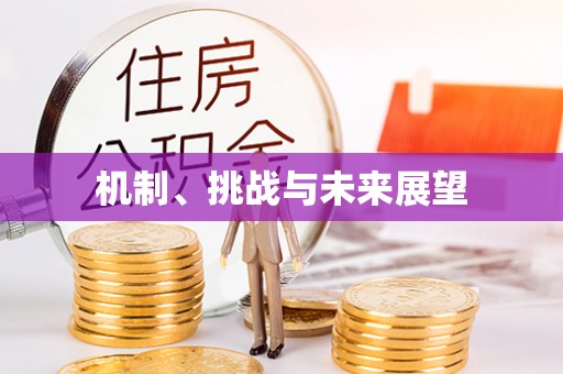大安机制、挑战与未来展望