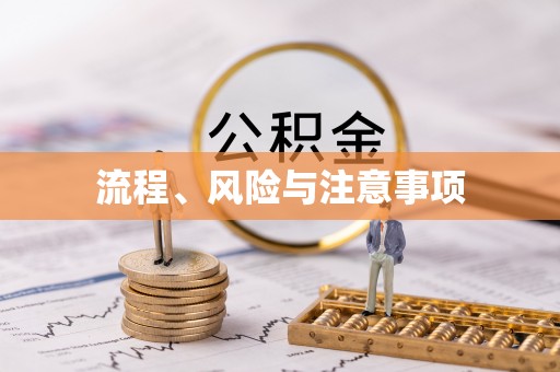 大安流程、风险与注意事项
