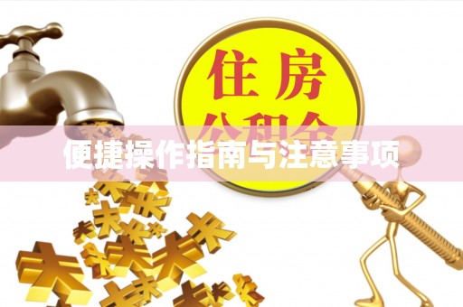 大安便捷操作指南与注意事项