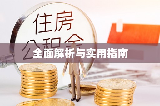 大安全面解析与实用指南