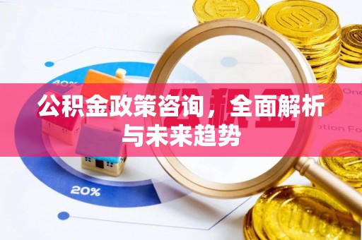 大安公积金政策咨询，全面解析与未来趋势