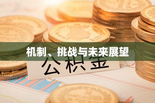 大安机制、挑战与未来展望